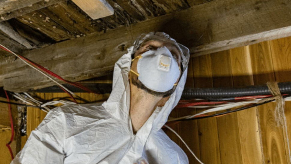 6 Signs You Need Professional Mold Contractors Near Me Right Now