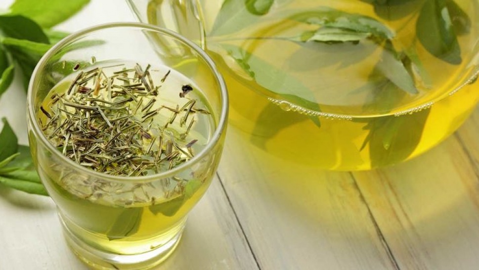 Homemade Natural Shampoo