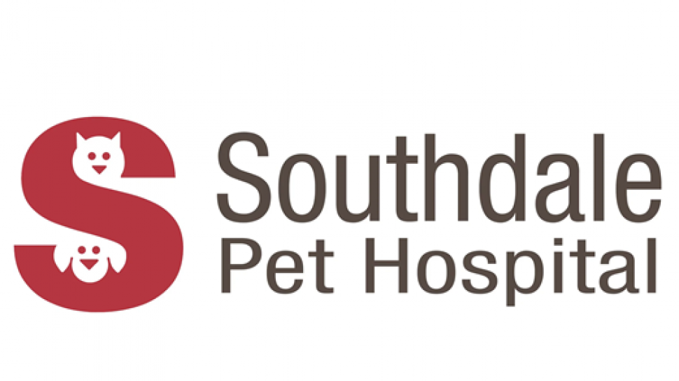Pet Hospital Edina MN: What Every Pet Owner Should Know About Choosing Quality Veterinary Care