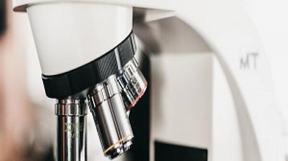 Understanding Enzyme Inhibitors in Glycan Pathway Research