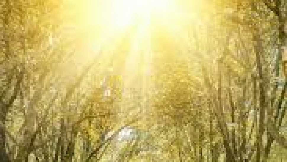 The Future of Smart Farming: How Technology Is Revolutionizing Food Production in 2026