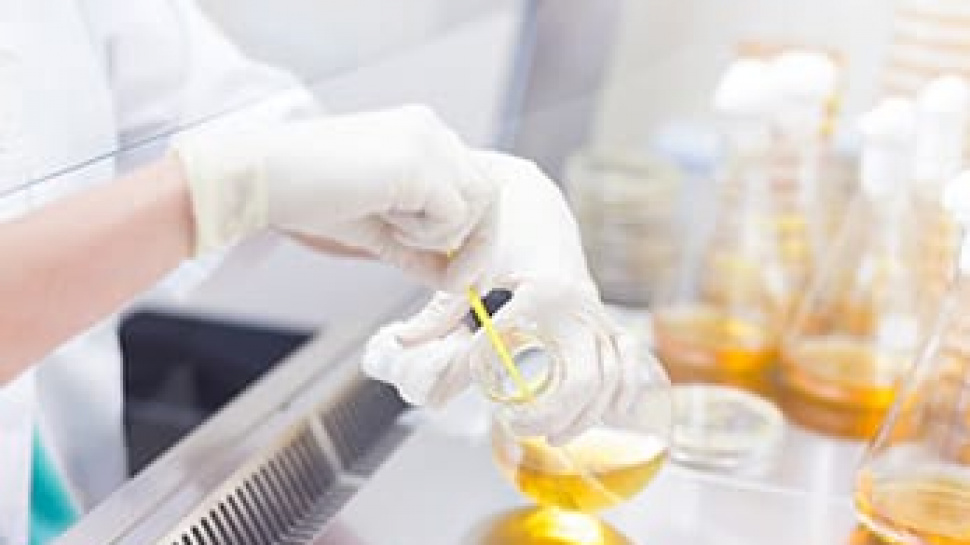 How Invertase Enhances Taste and Texture in Culinary Products