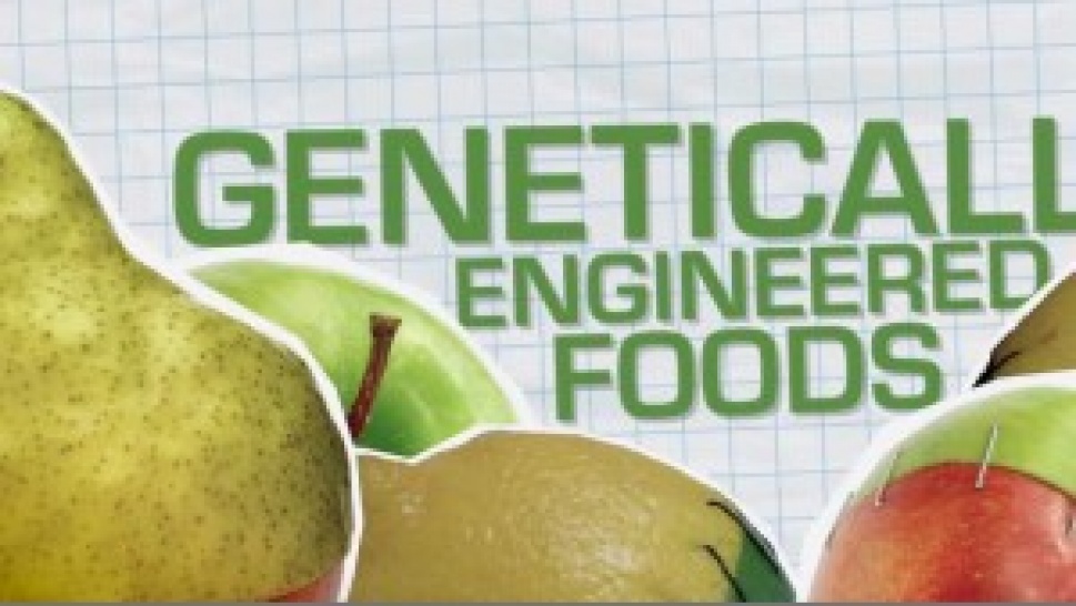 The Truth about Geneticall Engineered Food