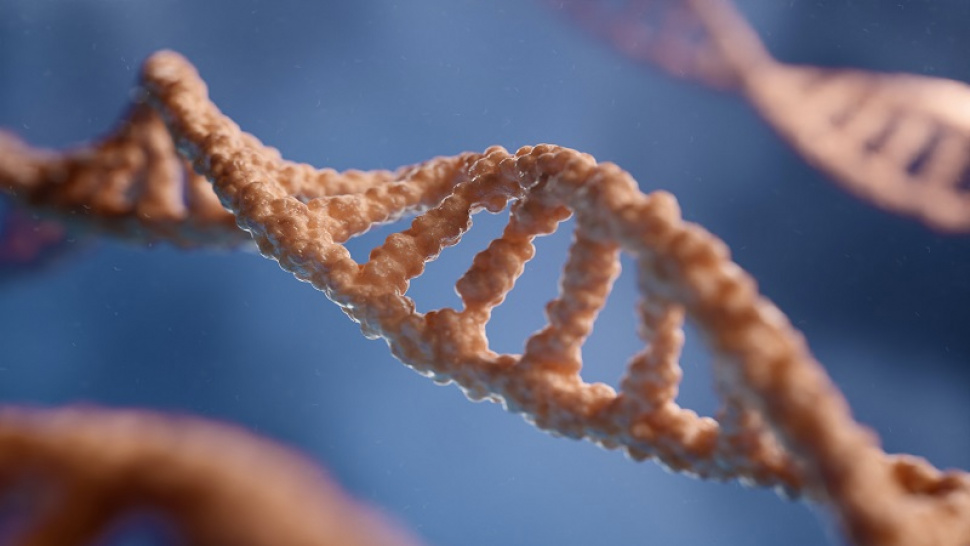 New Strategies for the Treatment of Solid Tumors Found