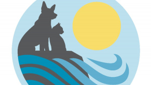 Finding the Perfect Vet Near Me: Why Del Mar Heights Veterinary Hospital is the Right Choice for You
