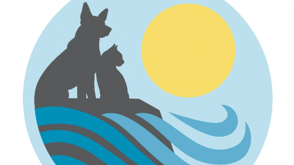 Finding the Perfect Vet Near Me: Why Del Mar Heights Veterinary Hospital is the Right Choice for You