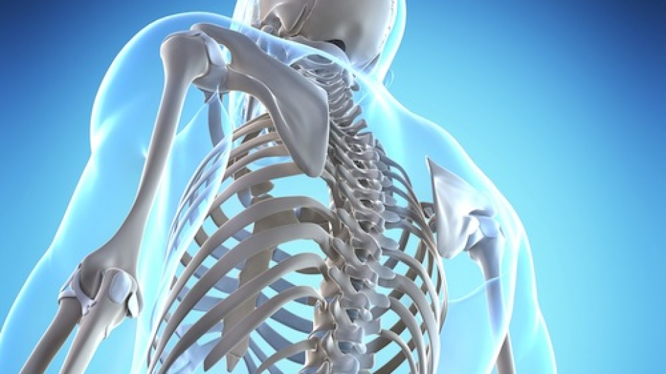 For Bone Mass prepare Grains, Nuts and Seeds