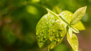 The Rise of AI-Powered Smart Kitchens: Transforming the Future of Cooking