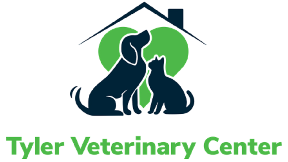 A Complete Guide to Enhancing Health and Longevity for Your Dog