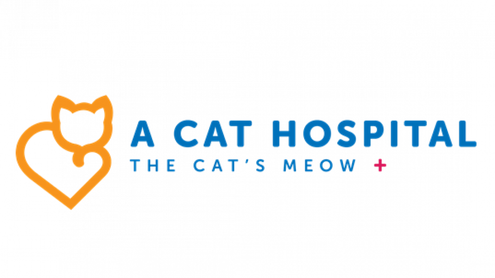 A Cat Hospital: Your Trusted Partner for Feline-Only Veterinary Care in Henderson