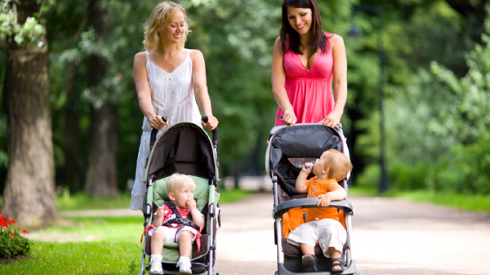 Babies - Spring Walk