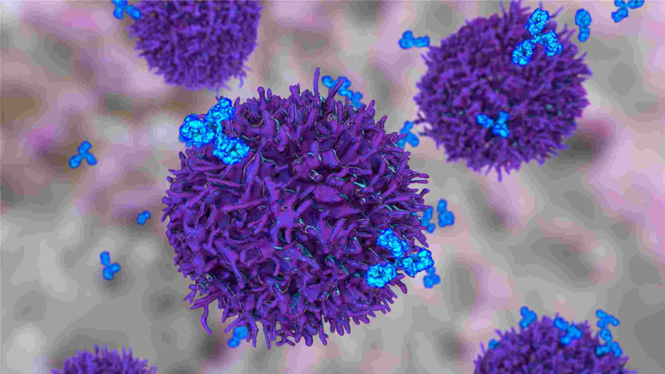 Bioorthogonal Reactions in Radionuclide Conjugates - Article - GLBrain.com