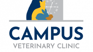 Choosing the Best Veterinary Care: What to Expect from a Leading Animal Hospital Berkeley CA