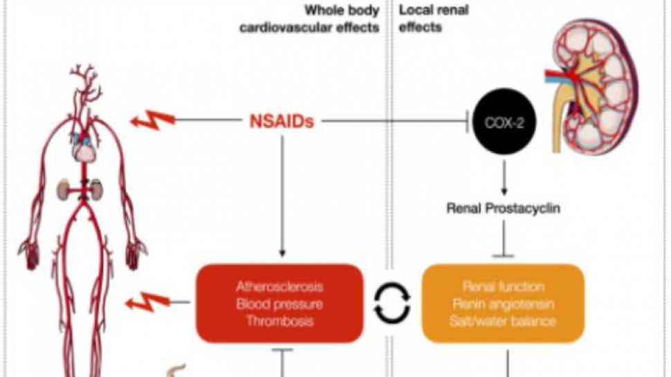 Bioactive Lipids and Receptors