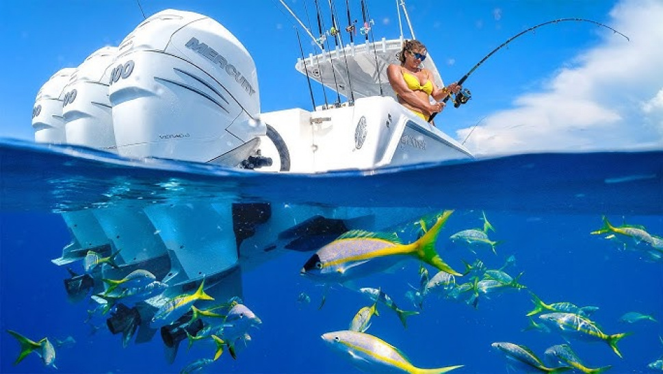 Florida Fishing Charters: Explore the Best Spots with Expert Guides