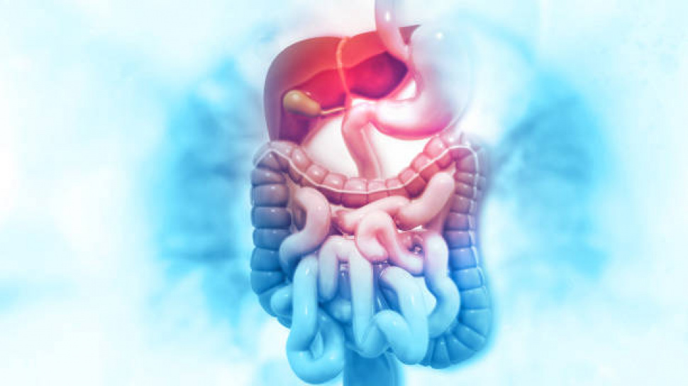 Digestive Remedies in Saudi Arabia Reflect Changing Health Needs