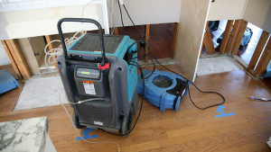 How Can Professional Cleaning Keep Your Frisco Home Fresh and Comfortable?