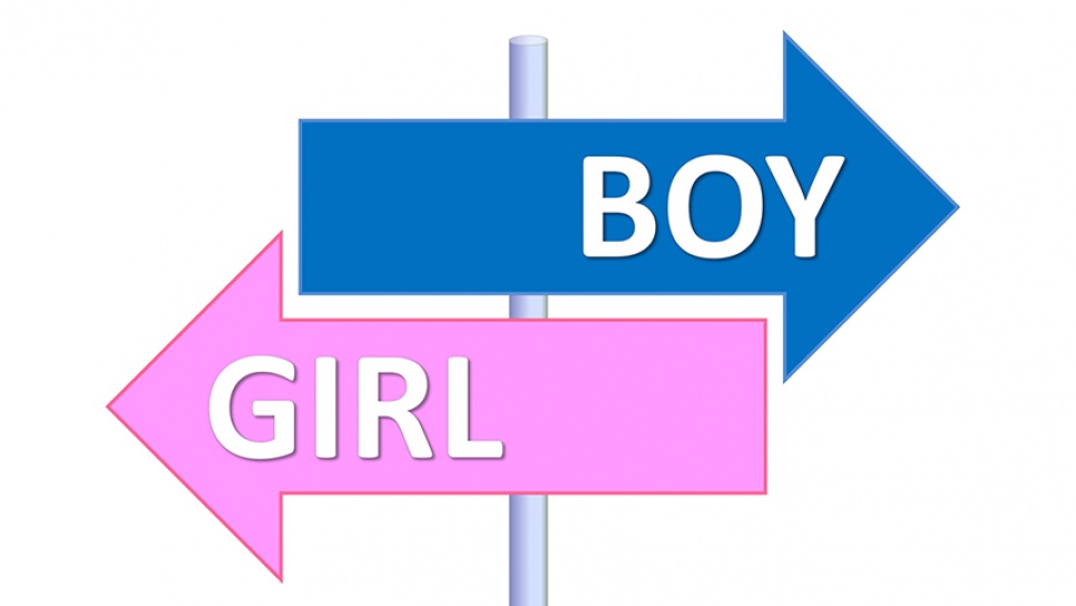 Boy or girl картинка