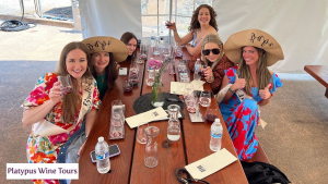 How to Plan a Budget-Friendly Bachelorette Wine Tour