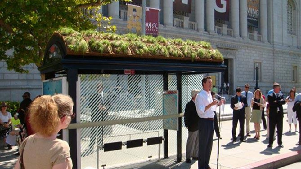 Green Roof Bus Shelter