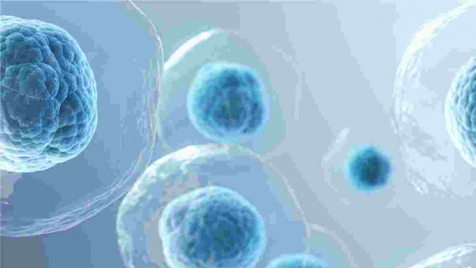 ADC Cleavable Linker: Classification and Mechanism of Action