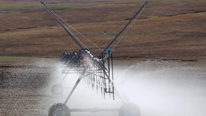 Saudi Arabia Micro-irrigation Systems Market 2025: Helping Farmers Use Water Wisely