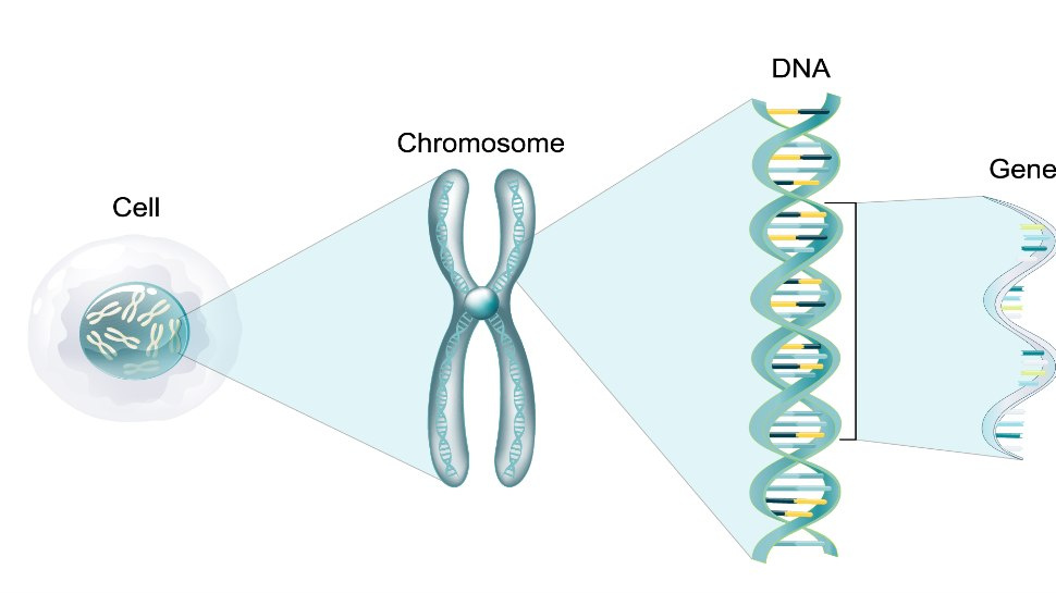 DNA Methylation Developments Across Clinical Research Programs