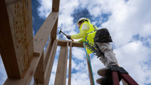 Where Can You Find Tiny House For Sale Options Legally
