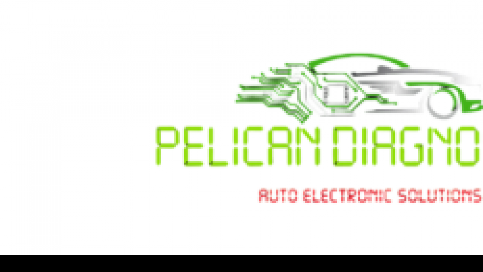 Pelican Diagnostics’ Contribution to Global Healthcare Accessibility