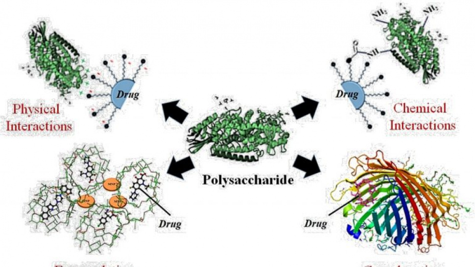 What is a Nano-Drug Delivery System of Natural Polysaccharides