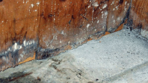 9 Water Damage Restoration Near Me Tips Every Homeowner Should Know