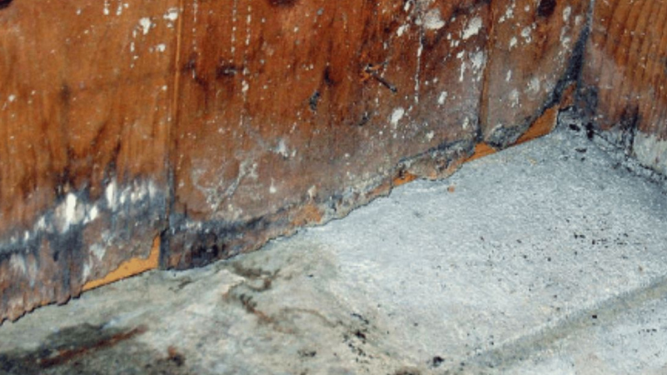 9 Water Damage Restoration Near Me Tips Every Homeowner Should Know