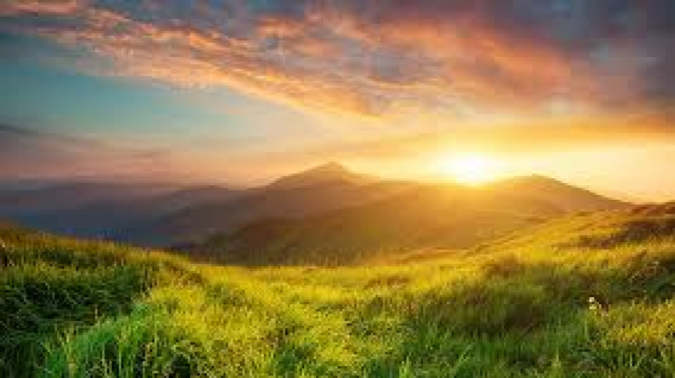 The Growing Popularity of Fermented Foods in Modern Diets