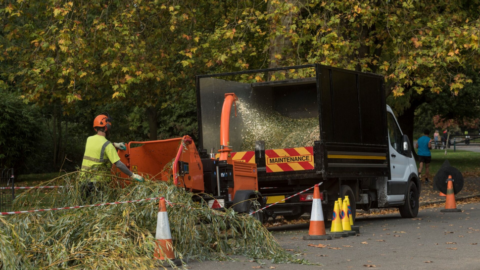 Tree Surgeons in Hertfordshire and North London