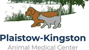 Choosing the Right Care: Why Local Families Trust Our Plaistow Vet Services