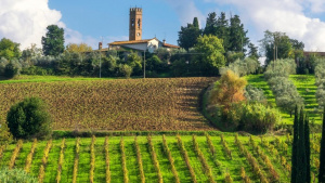 Tuscany Tours from Florence for Couples, Families, and Small Groups