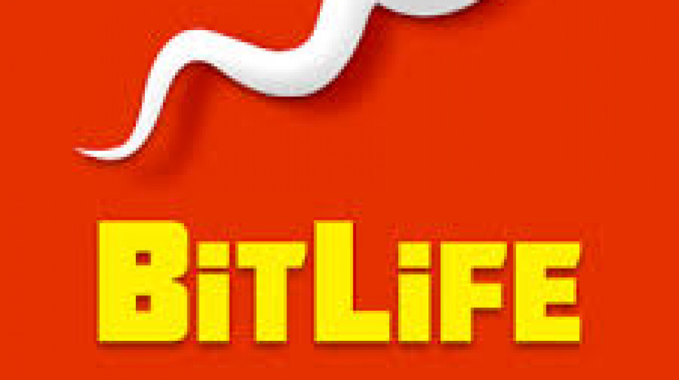 Discovering the World of Store Management in Bitlife