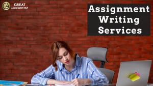 Get Assignment Help from Professionals to Get Better Grades