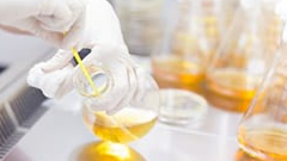 Discovering the Natural Pain Relief and Anti-Inflammatory Properties of Serrapeptase