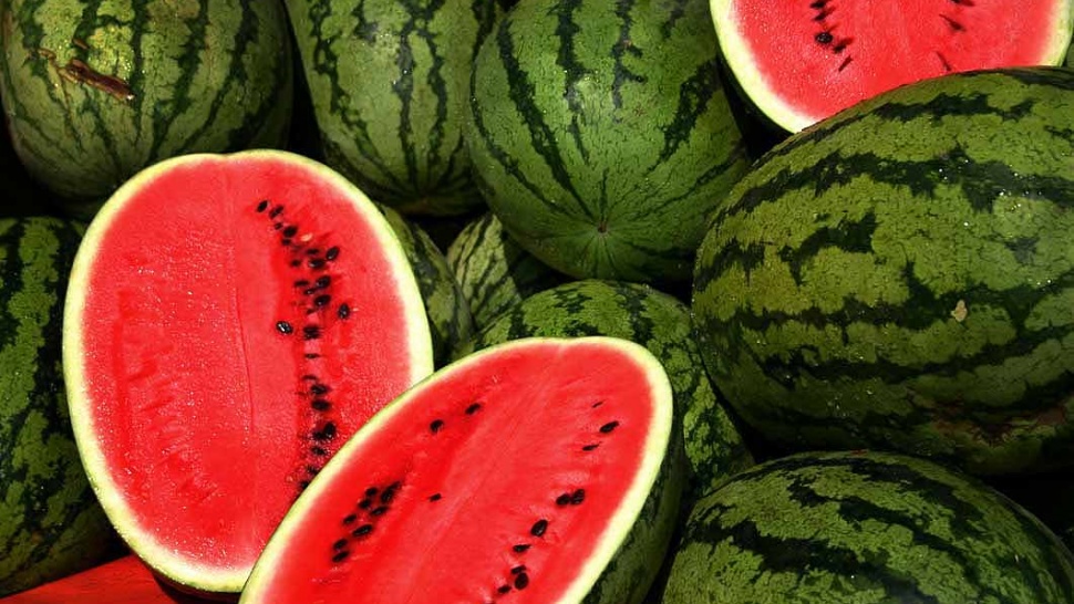 Watermelon is Strongest Aphrodisiac Article GLBrain