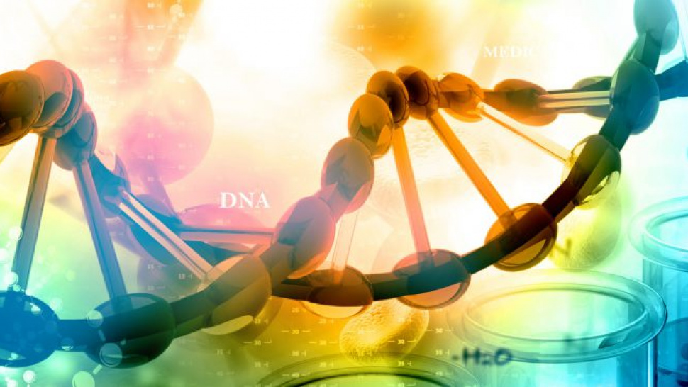 Enhancing Immunoassays with Carboxylated Magnetic Beads: A Breakthrough ...