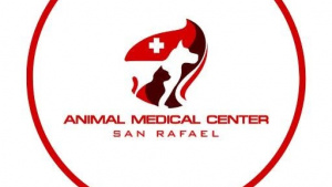 Animal Medical Center San Rafael: Understanding Pet Emergency Care