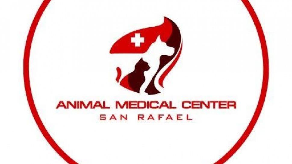 Animal Medical Center San Rafael: Understanding Pet Emergency Care