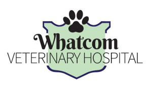Essential Services Offered at a Trusted Veterinary Clinic Ferndale WA