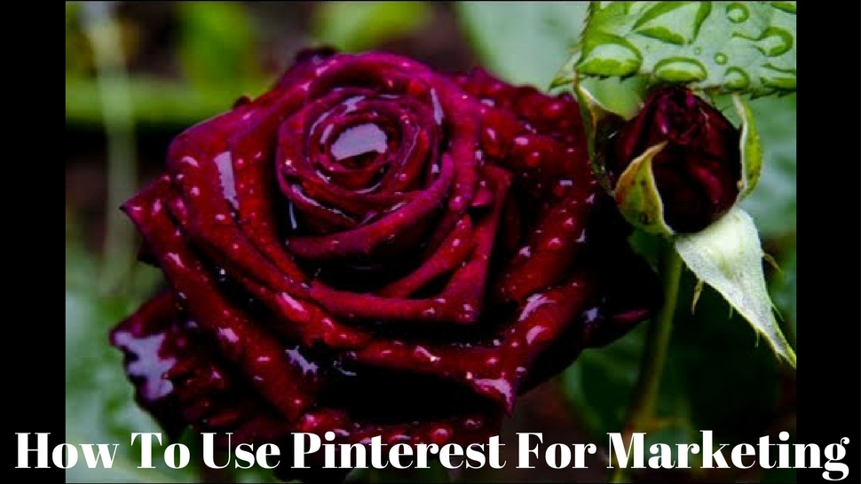 How To Use Pinterest For Marketing