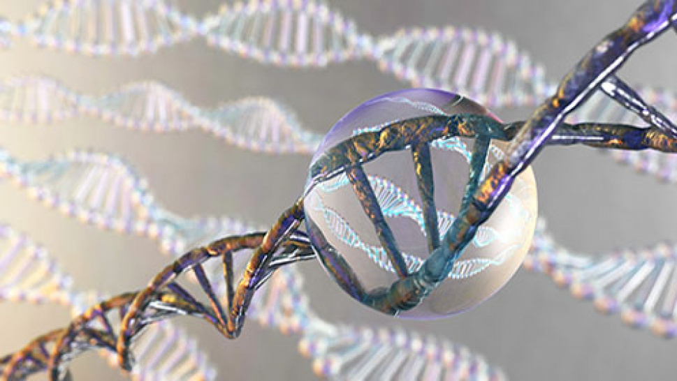 Indoles- Heterocyclic Building Blocks
