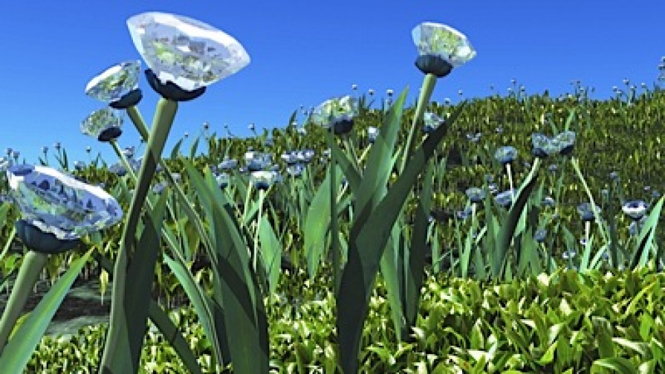 Diamond-Detector Plant