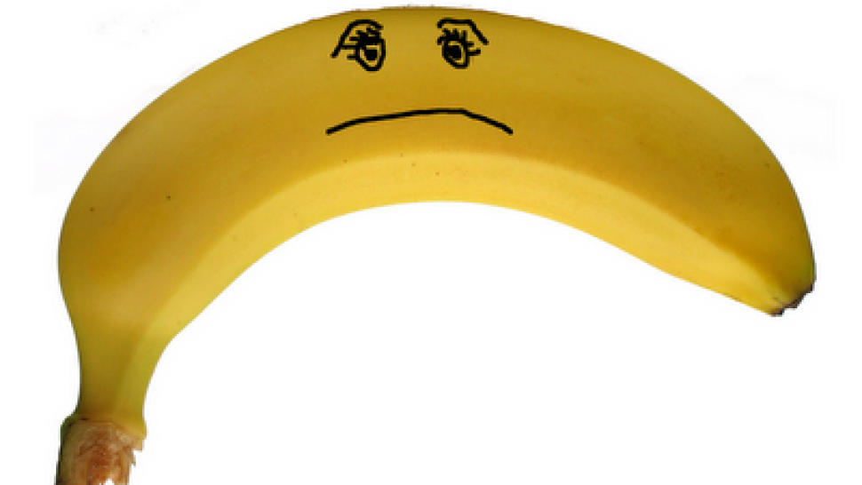 The Sad Truth About Bananas