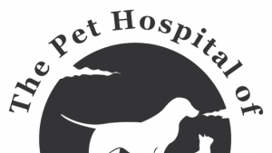 Choosing the Best Care for Your Furry Family Member