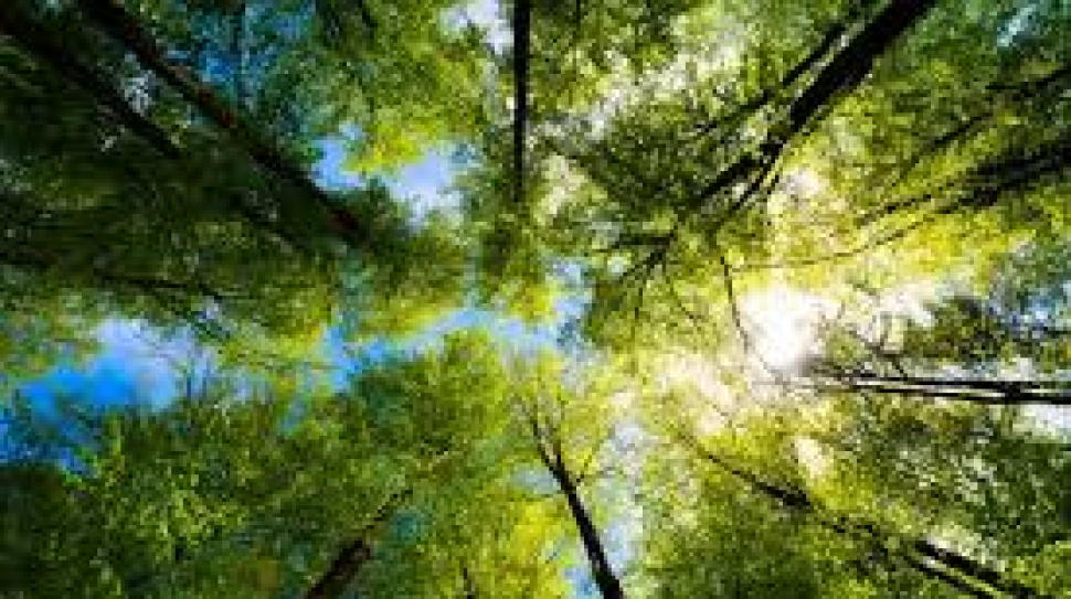 How AI and Data Are Redefining Customer Experience in 2026